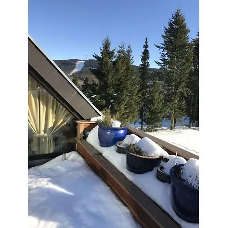 Dream View Comfortable Goslar