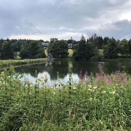 Dream View Comfortable