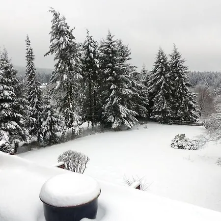 Dream View Comfortable